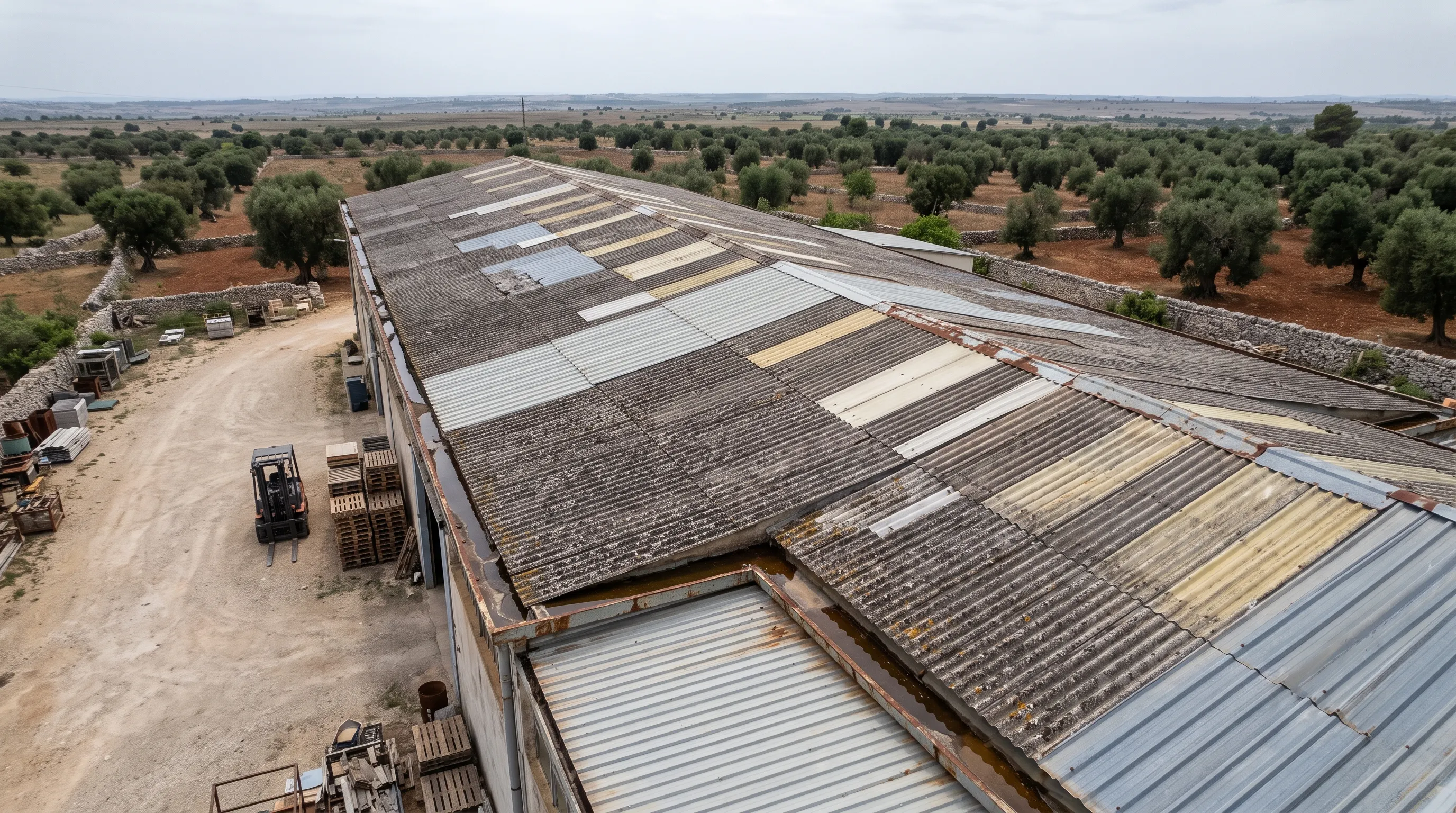 Vista aerea obliqua della copertura di un capannone industriale con lastre ondulate in fibrocemento annerite, pannelli metallici e traslucidi sostituiti, gronde arrugginite con acqua stagnante; nel piazzale un muletto e pallet, attorno ulivi e muretti a secco